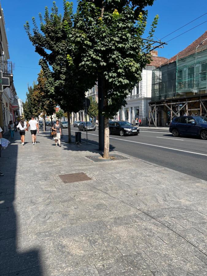 Апарт отель Ndl Downtown Cluj Экстерьер фото